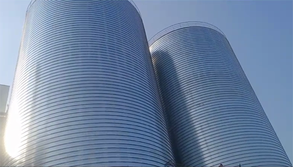 鹤峰2座混凝土高架卷板仓